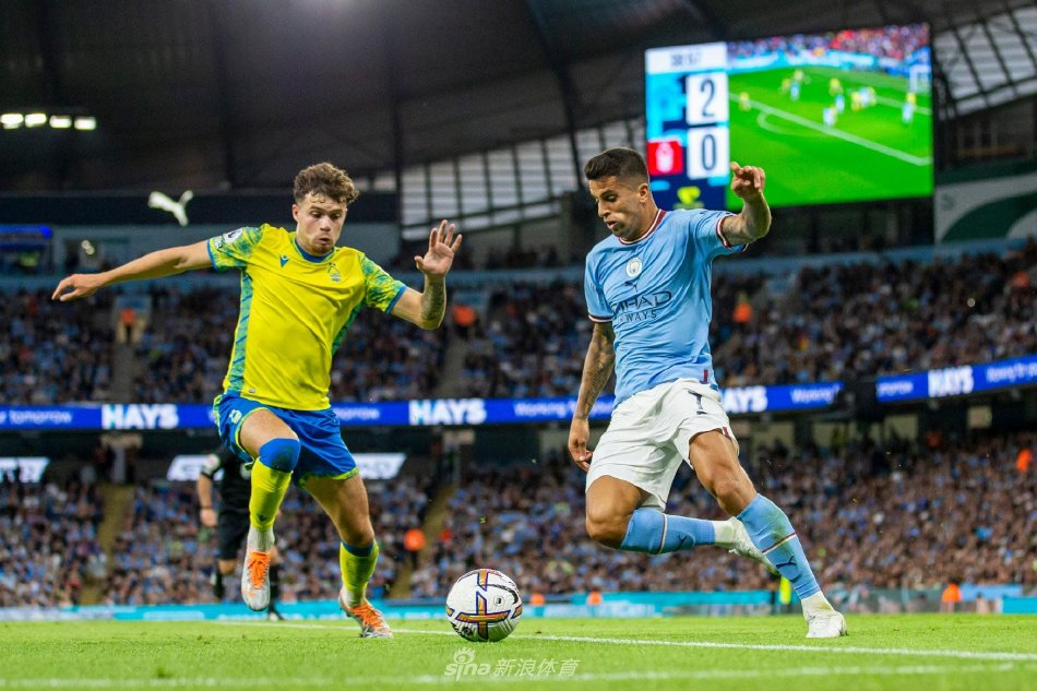 如鱼得水 如鱼得水